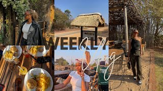 VLOG | DAYS IN HARARE (Game drive , kumusha , Sunday reset) & MORE