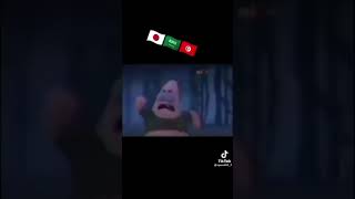 🇯🇵🇸🇦🇹🇳