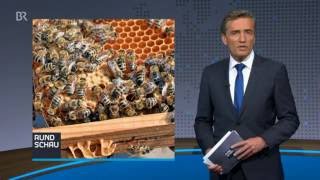 Beitrag und Interview zum Bienenschutz mit Dorothea Heiser, BR Rundschau