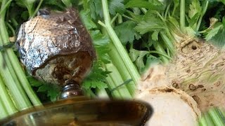 Кальян на корне сельдерея | Hookah on a CELERY ROOT!