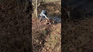 Dillon vs Deer