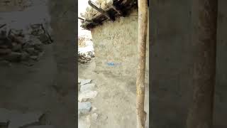 old style stone made home #viral #shorts