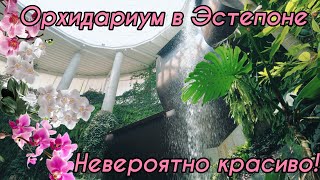 Ещё красивее! Орхидариум в Эстепоне.