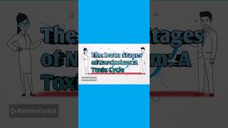 7 Stages of Narcissism #fypシ゚viral #education #personalitydisorder #everyone