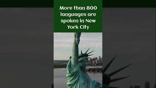 Fun Facts About New York City