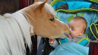 Gentle Moment Between a Little Friend and a Horse