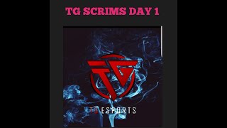 TG SCRIMS TOTAL 15 KILLS