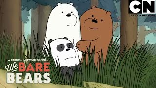 Las locuras, aventuras y desafíos de los osos | Escandalosos | Cartoon Network