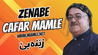 جەعفەر ماملێ زێنەبێ هەی لە زێنەبێی قەڵاتان | Jafa Mamle zenabe Zênebê, Zênebêy Qellatan