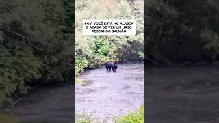 JÁ IMAGINOU VER UM URSO PESCANDO? 😱 (clica pra ver o vídeo completo)