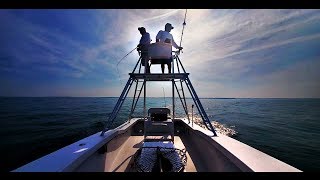 “Chesapeake Bay Cobia on the Fly” Jim Baugh Outdoors TV with Captain Neil Lessard  Oyster Farm  2019