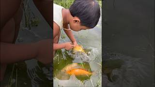 Cute baby Jhim catch fish in Village#jhim #jhimbd #cute #cutebaby #baby #cutebabygirl#fish #fishing