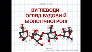 Будова та функції вуглеводів