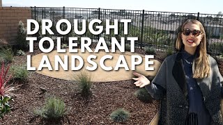 Drought Tolerant Front Yard