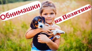 Живите на Позитиве! / Обнимашки с животными