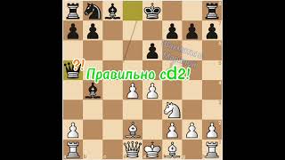 Рубинштейн - Шлехтер. Часть 1. Шахматы с Мариной. #chess #шахматысмариной