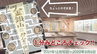 貨幣博物館「金銀山×お金の世界」企画展1分みどころチェック！