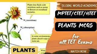 LIVE SCIENCE  SESSION  - MPESB MCQS / ALL PYQS - HTET/CTET/MPTET 2024