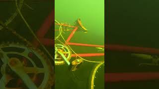 Found Bike Underwater, Then Rode It Home! (Scuba Diving)