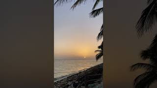 Sunrise over the Gulf of México on the #beach #expatlife #mexico