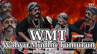 WAROK JUNIOR!!!WAHYU MUDHO TUMURUN||WMT||PRINGAPUS LIVE MRUWAH KALORAN TEMANGGUNG