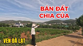 (Đã bán)Đất vườn ven Đà Lạt| BÁN ĐẤT CHIA CỦA CHO CON! Lô góc vị trí vàng view khỏi nói! CHỐT GẤP