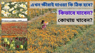 Khirai | Valley Of Flower | ক্ষীরাই কিভাবে যাবেন ! কোথায় খাবেন ! #khiraiflowergarden #khirai