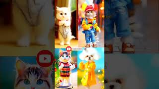 smart cat funny dance 😂 patali kamariya more 😂🙀 #cat #funny #dance #youtubeshorts