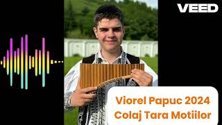 Viorel Papuc 2024 - Colar Tara Motiilor