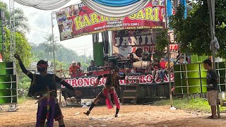 Kesenian Kuda Lumping Turonggo Kartikosari Sumbersari Lampung Timur