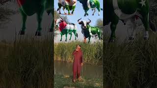 Bakra Laray ll 😁😁ll #trending #funny #viral #shorts #islamicshorts  #youtubeshorts #islamicvideo