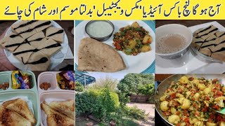 vlogs | vlogs pakistani | mix vegetables recipe | lunchbox ideas | teatime snacks