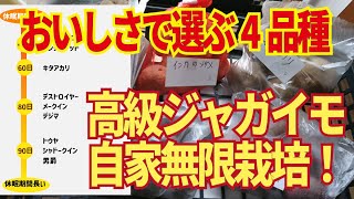 家庭菜園におすすめのジャガイモ厳選4種。エンドレスで栽培できるおいしいさで評判の高級ジャガイモ！1/20