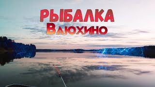 Рыбалка ваюхино спиннингом с лодки кружки троллинг 2023