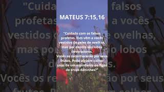 MATEUS 7: 15, 16 | RECONHEÇAM OS FALSOS PROFETAS #deus #jesus