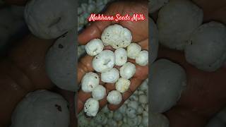 ಕೀಳು ನೋವು ನಿವಾರಣೆ | Lotus seed Milk for bone strength #makhana #makhanarecipe #healthylifestyle #fit