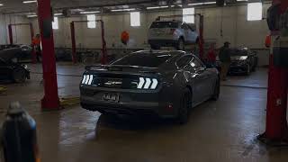 video mustang wm 2