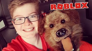 Playing Roblox with Hacker the talking dog!!