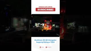 Bus Budiman 3E 88 Mengerjar Bus Sugeng Rahayu 7334