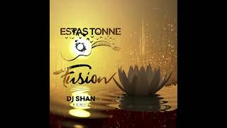 Estas Tonne - Fusion (DJ Shan Remix) (Free Download) #djshan35 #downtempo  #ethnotronic #fusion