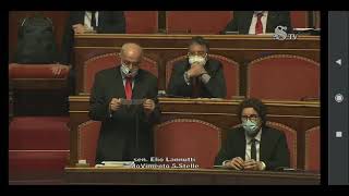 2021 02 17 Elio Lannutti Senato