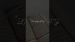 القآرئ احمد العجمي