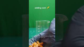 Piranha solution vs corn #piranha #destroyer #exothermic #experiment #popcorn #viralvideo