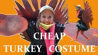 Cheap Homemade Turkey Costume