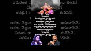 Chirugalli veechene song lyrics#sangeeta #vikram #suriya #laya #rppatnaik