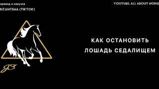 Остановка лошади седалищем. Как научить остановке не от повода