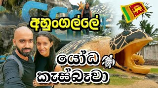 A JOURNEY TO THE TURTLE WORLD 🐢😍| Ahungalla Sea Turtle Conservation Center | SRI LANKA [Eng Sub]