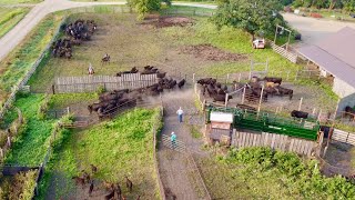 Day In The Life Of A South Dakota Rancher!