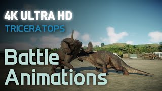 [Jurassic World Evolution 2] Triceratops Battle Animation (In-Game Footage 4K 60fps)