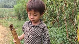 The mother did not care for her child to go catch fish to eat Hoang Xuan